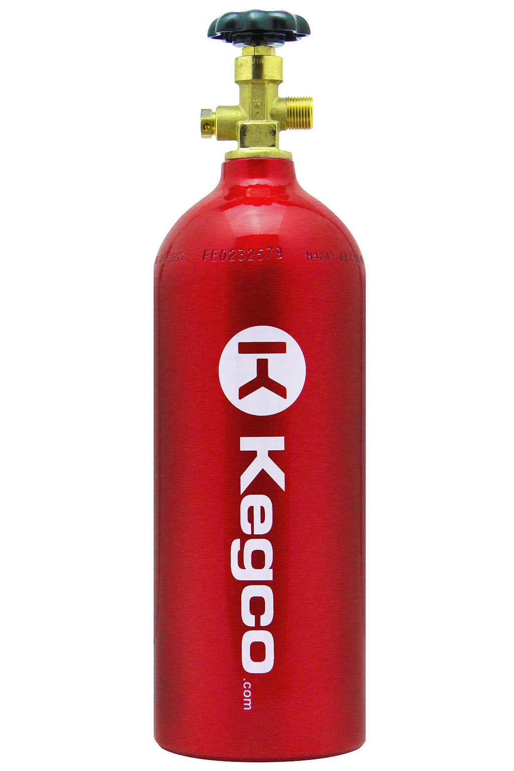 Kegco 2-Tap Kegerator Conversion Kit with Premium Door-Mount Installation