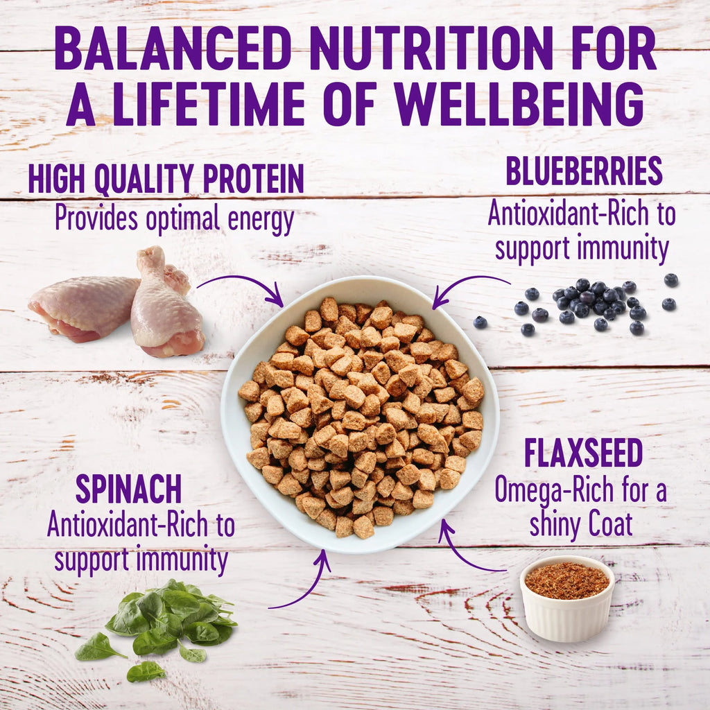 Wellness Complete Health Chicken Recipe, Natural Grain-Free Dry Dog Food in a 24-Pound Bag