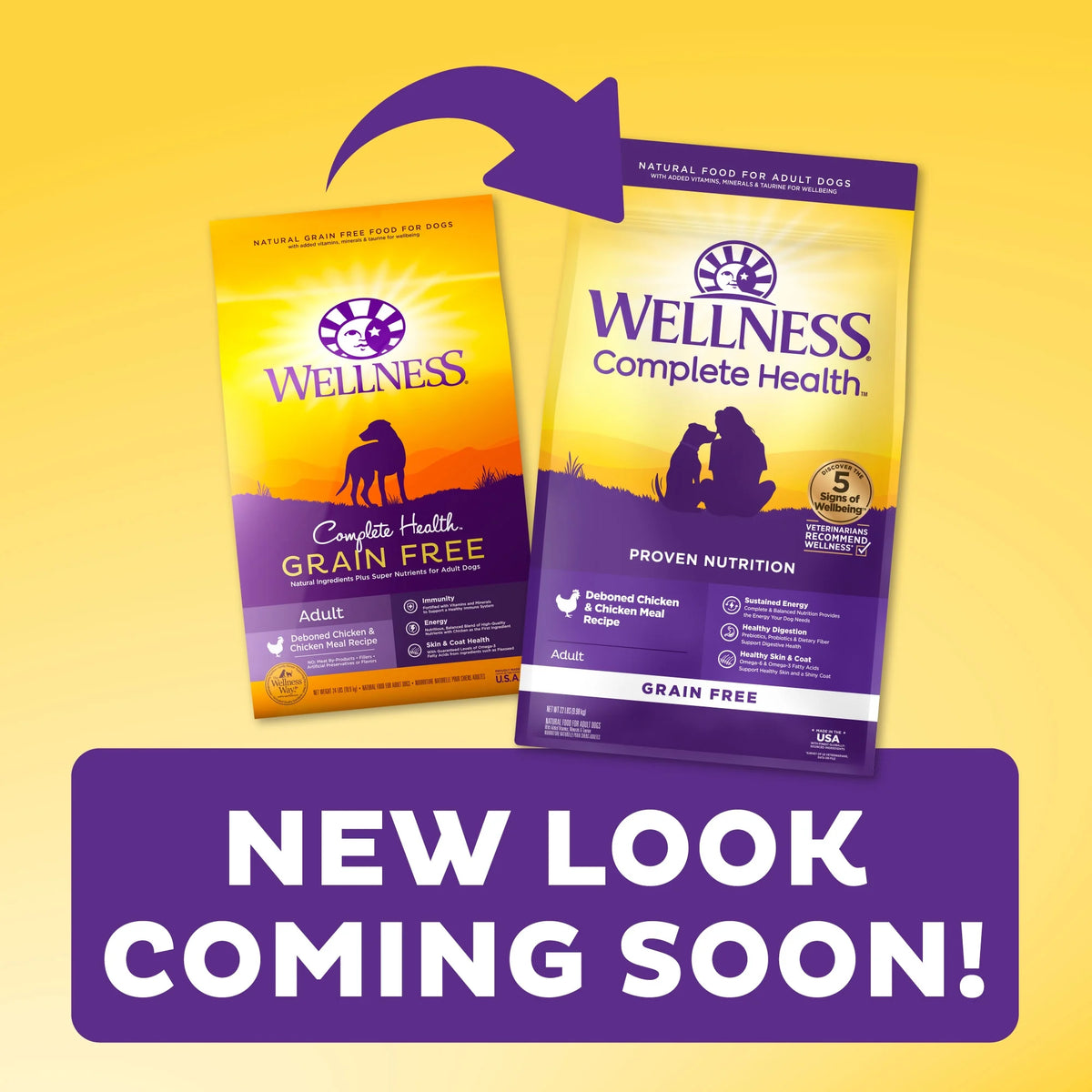 Wellness Complete Health Chicken Recipe, Natural Grain-Free Dry Dog Food in a 24-Pound Bag