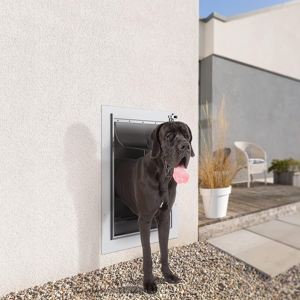 Large Baboni Dog and Cat Door for Walls, Steel Frame with Telescoping Tunnel, Aluminum Lock and Double Flap for Pets Up to 100 Lb